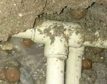 新罗测漏水多少钱