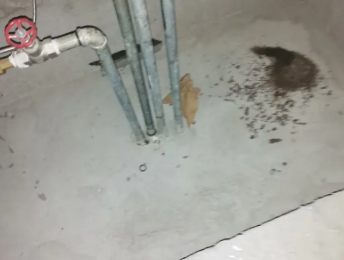 新罗卫生间测漏水价格明细